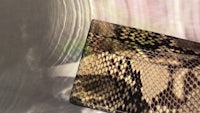 a python skin card holder on a table